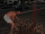 IMG_0516.jpg