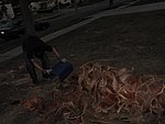 IMG_0518.jpg