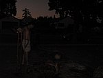 IMG_0528.jpg
