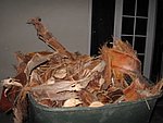 IMG_0531.jpg