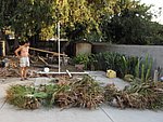 IMG_0534.jpg