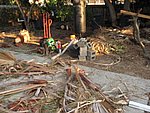 IMG_0536.jpg