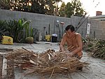IMG_0541.jpg