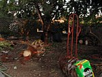 IMG_0542.jpg