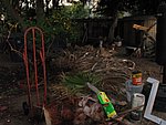 IMG_0543.jpg