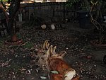 IMG_0544.jpg