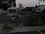 IMG_0549.jpg
