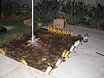 Picture 001.jpg