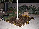 Picture 002.jpg