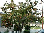 Picture 003.jpg