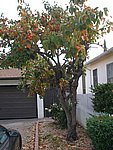 Picture 011.jpg