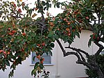 Picture 012.jpg