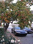 Picture 014.jpg
