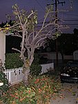 Picture 015.jpg
