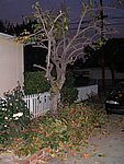 Picture 016.jpg