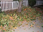 Picture 017.jpg