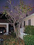 Picture 020.jpg