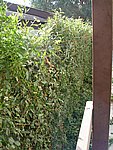Picture 024.jpg