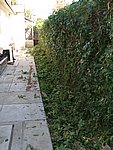 Picture 025.jpg