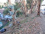 Picture 081.jpg