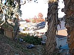 Picture 083.jpg