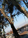 Picture 085.jpg