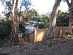 Picture 088.jpg