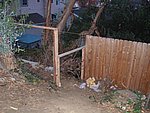 P1020086.JPG