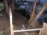 P1020089.JPG