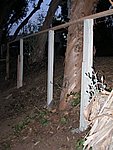 P1020097.JPG
