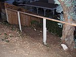 P1020102.JPG