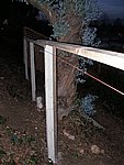 P1020103.JPG