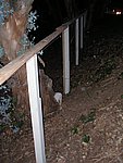P1020108.JPG