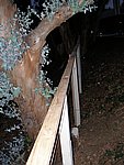 P1020109.JPG
