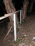 P1020111.JPG