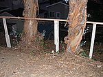 P1020112.JPG