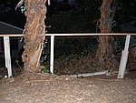 P1020113.JPG