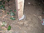 P1020116.JPG