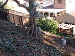 PC230069.JPG