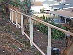 IMG_1781.JPG