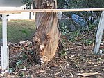 IMG_1783.JPG