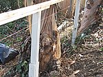 IMG_1784.JPG