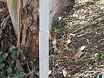 IMG_1785.JPG
