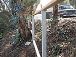 IMG_1788.JPG