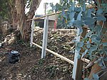 IMG_1789.JPG