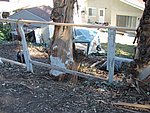 IMG_1818.JPG