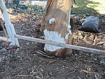 IMG_1819.JPG