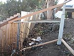 IMG_1823.JPG