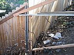 IMG_1824.JPG