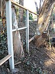 IMG_1825.JPG